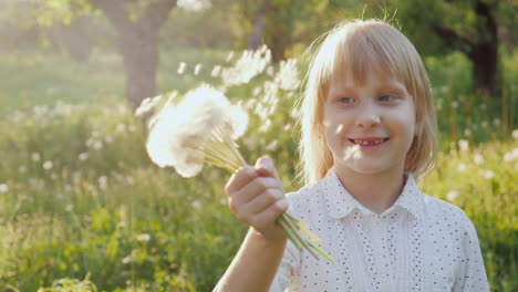 Carefree-Girl-Plays-With-A-Bunch-Of-Dandelions-Having-Fun-In-The-Open-Air-Slow-Motion-Video