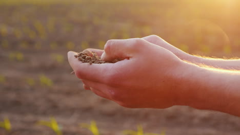 Hands-Of-The-Farmer's-Man-Holding-The-Ground-Touching-Her-Fingers-Against-The-Background-Of-A-Field-