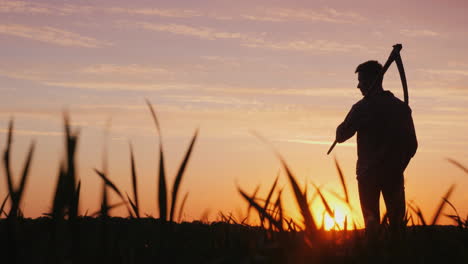 A-Young-Farmer-With-A-Scythe-Standing-In-A-Field-At-Sunset-Silhouette-Rear-View-4K-Video