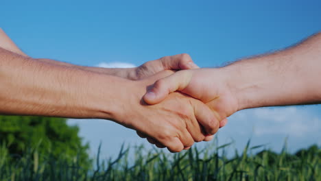 Two-Farmers-Shake-Hands-Against-The-Background-Of-A-Green-Wheat-Field-Deal-In-Agribusiness-Concept-4