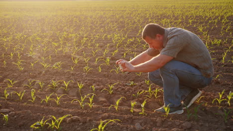 Der-Bauer-Bilder-Junge-Triebe-Auf-Dem-Feld-Verwendet-Eine-Smartphone-Technologie-In-HD-Videos-Der-Agrarindustrie
