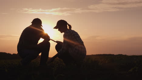 Silhouettes-Of-Two-Farmers---Men-And-Women-Work-In-The-Field-At-Sunset-Study-Plant-Shoots-Use-A-Tabl