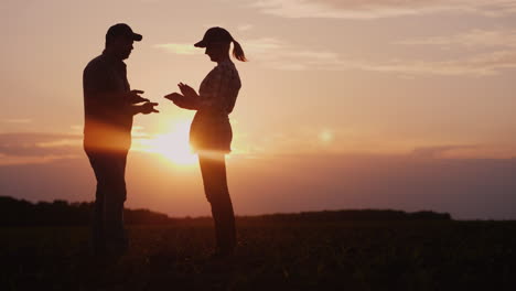 Two-Farmers-Work-In-The-Field-In-The-Evening-At-Sunset-A-Man-And-A-Woman-Discuss-Something-Use-A-Tab