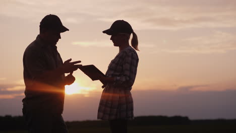 Two-Farmers-Work-In-The-Field-In-The-Evening-At-Sunset-A-Man-And-A-Woman-Discuss-Something-Use-A-Tab