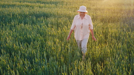 An-Elderly-Female-Farmer-Is-Walking-Along-A-Field-Of-Green-Wheat-Hands-Touching-The-Spikelets