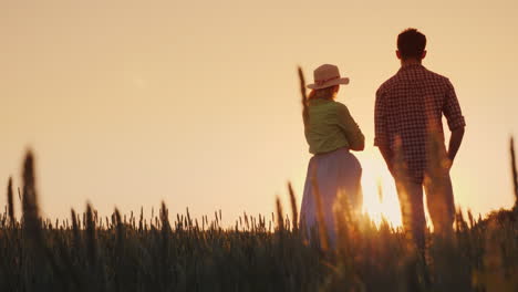Two-Farmers-Man-And-Woman-Standing-In-A-Wheat-Field-Watching-The-Sunset-Lower-View-Angle-4K-Video