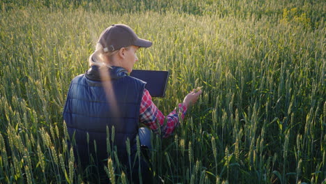 Young-Woman-Farmer-Working-In-A-Field-Of-Green-Wheat-Studying-Sprouts-Using-A-Tablet