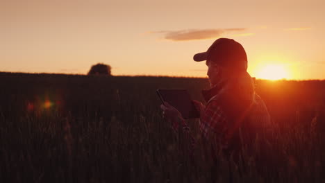 A-Female-Farmer-Is-Working-In-The-Field-At-Sunset-Enjoying-A-Tablet-Technologies-In-Agrobusiness-4K-