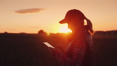 Young-Woman-Farmer-Working-With-Tablet-In-Field-At-Sunset-The-Owner-Of-A-Small-Business-Concept-4K-V