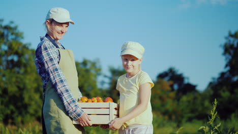 Woman-Farmer-With-Daughter-Holding-A-Box-Of-Tomatoes-From-Their-Field-4K-Video