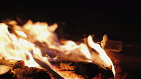 Fry-Marshmallow-Over-A-Fire-Close-Up-In-The-Frame-You-Can-See-Only-Sticks-With-Marshmallows