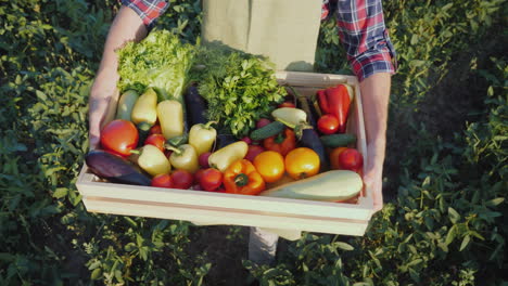 The-Farmer-Is-Holding-A-Wooden-Box-With-A-Set-Of-Various-Vegetables-Organic-Farming-And-Farm-Product