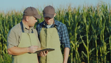 Farmer-Father-And-Son-Are-Standing-In-The-Background-Of-A-Cornfield-Communicate-Use-A-Tablet-Family-