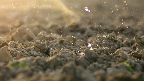 Waterdrops-Falling-On-Soil-Earth-At-Farm-1