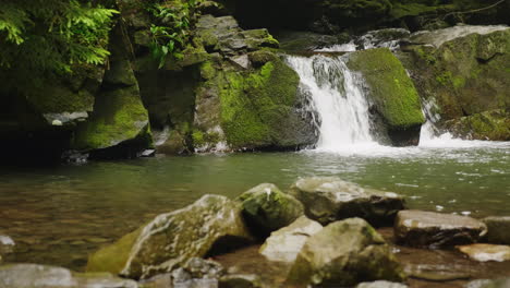Bergfluss-Oder-Bach-Mit-Einem-Kleinen-Wasserfall-Fichtenzweige-Im-Vordergrund-4k-Video