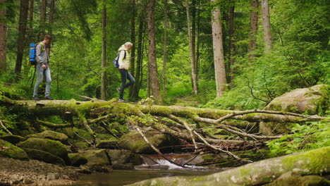 Two-Tourists-Cross-The-Mountain-River-Along-A-Fallen-Tree-Adventures-And-An-Active-Way-Of-Life-4K-Vi