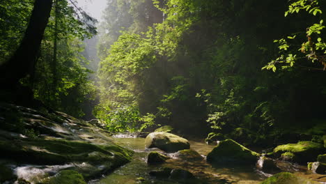 Clean-Mountain-Stream-In-The-Mysterious-Morning-Forest-The-Rays-Of-The-Sun-Make-Their-Way-Through-Th