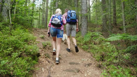 A-Man-And-A-Woman-With-A-Dog-Are-Walking-Along-A-Path-In-The-Forest-Active-And-Healthy-Lifestyle