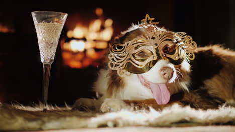 Ein-Hund-In-Einer-Karnevalsmaske-Liegt-Am-Kamin-Ein-Glas-Steht-Daneben-Urlaubsthema-Mit-Haustieren