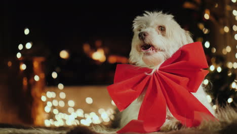 Süßer-Hund-Mit-Roter-Schleife-Sieht-Am-Kamin-Weihnachtsthema-Mit-Tieren