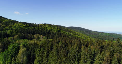 Aerial-View-Of-Forest-7