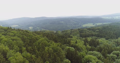 Fliegen-über-Das-Schöne-Waldbäume-Landschaftspanorama-72