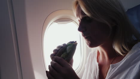 A-Woman-Eats-A-Sandwich-In-The-Passenger-Cabin-With-Appetite-Snack-In-The-Journey-Service-On-Board