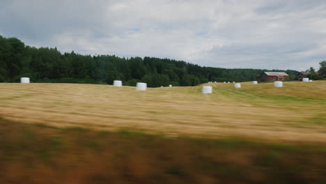 View-From-The-Window-On-The-Agricultural-Land-Of-Norway-Where-Mowing-Hay-And-Lying-In-Haystacks-Beau