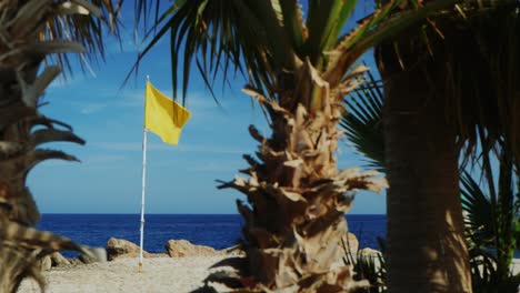 Yellow-Flag-On-A-Background-Of-Blue-Sky-Palm-Trees-In-The-Foreground-