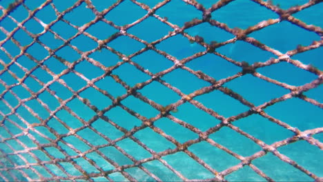 Mesh-For-Protecting-The-Sea-Coast-From-Sea-Fish