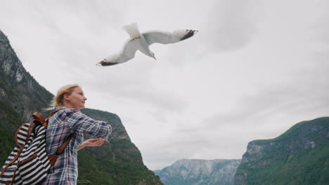 A-Tourist-Feeds-The-Birds-On-The-Background-Of-The-Fjords-Of-Norway-Scenic-Cruise-4k-Video