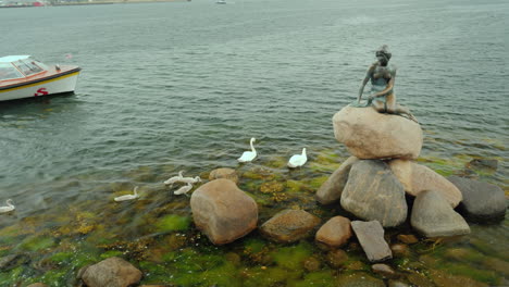 The-Statue-Of-The-Little-Mermaid-In-The-Bay-Of-Copenhagen-A-Swan-With-Small-Chicks-Next-To-It-Rainy-