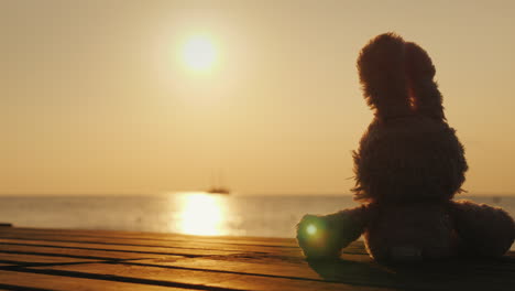 Teddy-Hare-Meets-The-Sunrise-On-The-Sea-Children's-Dreams-Concept