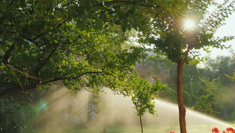 Die-Sonnenstrahlen-Erhellen-Einen-Kleinen-Garten-Mit-Obstbäumen-Und-Blumen,-In-Dem-Das-Bewässerungssystem
