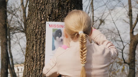 A-Girl-Is-Looking-For-A-Lost-Dog---A-Poster-About-A-Missing-Pet-Is-Placed-On-The-Tree