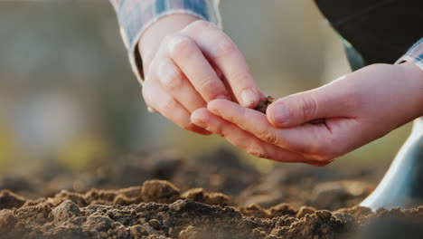 Farmer's-Hands-Are-Planting-Grain-Into-The-Soil-New-Life-Concept