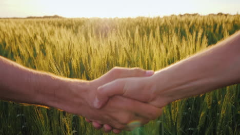 Freundlicher-Händedruck-Von-Zwei-Bauern-Vor-Dem-Hintergrund-Eines-Weizenfeldes