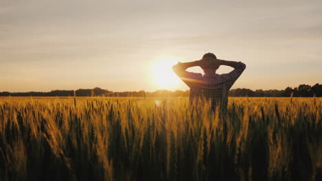 A-Silhouette-Of-A-Farmer-Standing-In-A-Field-Of-Wheat-Is-Admiring-A-Beautiful-Sunset-Over-His-Posses