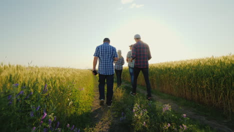 A-Group-Of-Farmers-Walking-Along-The-Wheat-Fields-Talking-Successful-Team-And-Team-Building-Concept