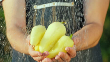A-Farmer-Holds-Hands-With-Sweet-Pepper-Under-Running-Water-Pure-Organic-Products-Concept