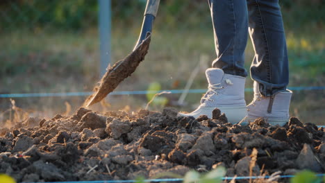 The-Woman-Farmer-Digs-A-Vegetable-Garden-Only-The-Legs-In-Working-Shoes-Are-Visible-In-The-Frame