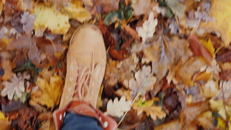 Female-Legs-In-Boots-Walk-On-Fallen-Autumn-Leaves