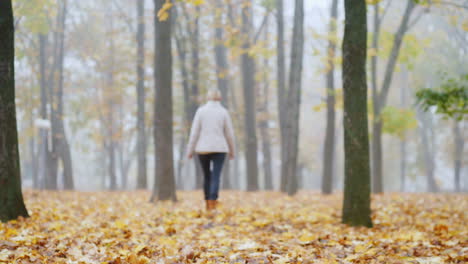Fallen-Leaves-In-The-Park-In-The-Distance-A-Blurred-Silhouette-Of-A-Woman