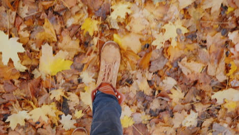 Walk-Through-The-Autumn-Park-Legs-Go-Along-The-Fallen-Leaves