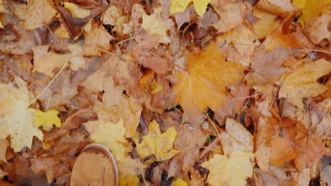 Female-Legs-In-Boots-Walk-On-Fallen-Autumn-Leaves