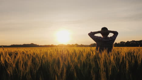 A-Successful-Farmer-Looks-At-His-Wheat-Field-At-Sunset