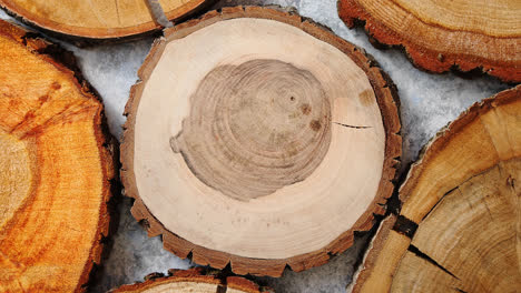 Aged--cracked--wooden--circular-tree-section-with-rings