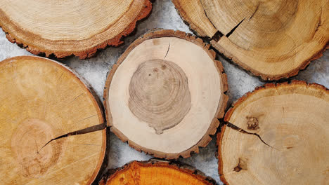 Aged--cracked--wooden--circular-tree-section-with-rings