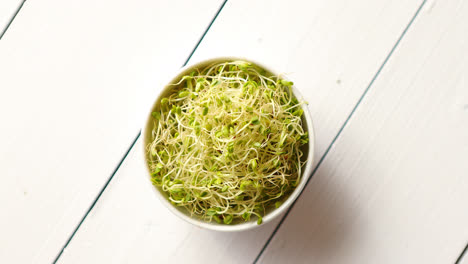 Bowl-full-of-fresh-radish-sprouts-placed-on-white-wooden-background