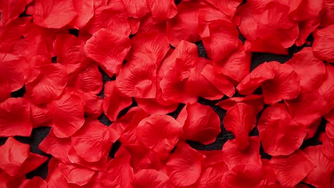 Background-of-beautiful-red-rose-petals--Top-view
